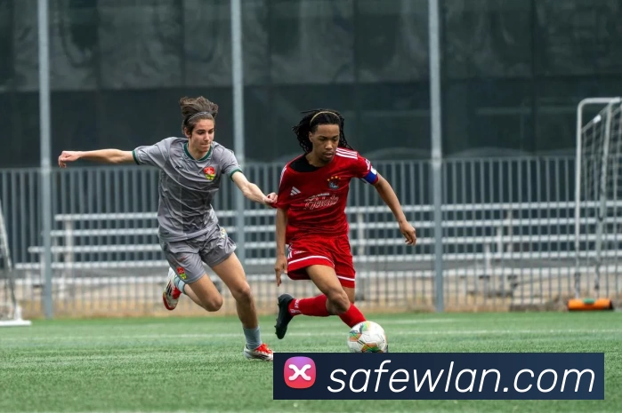 星空官网服务体系